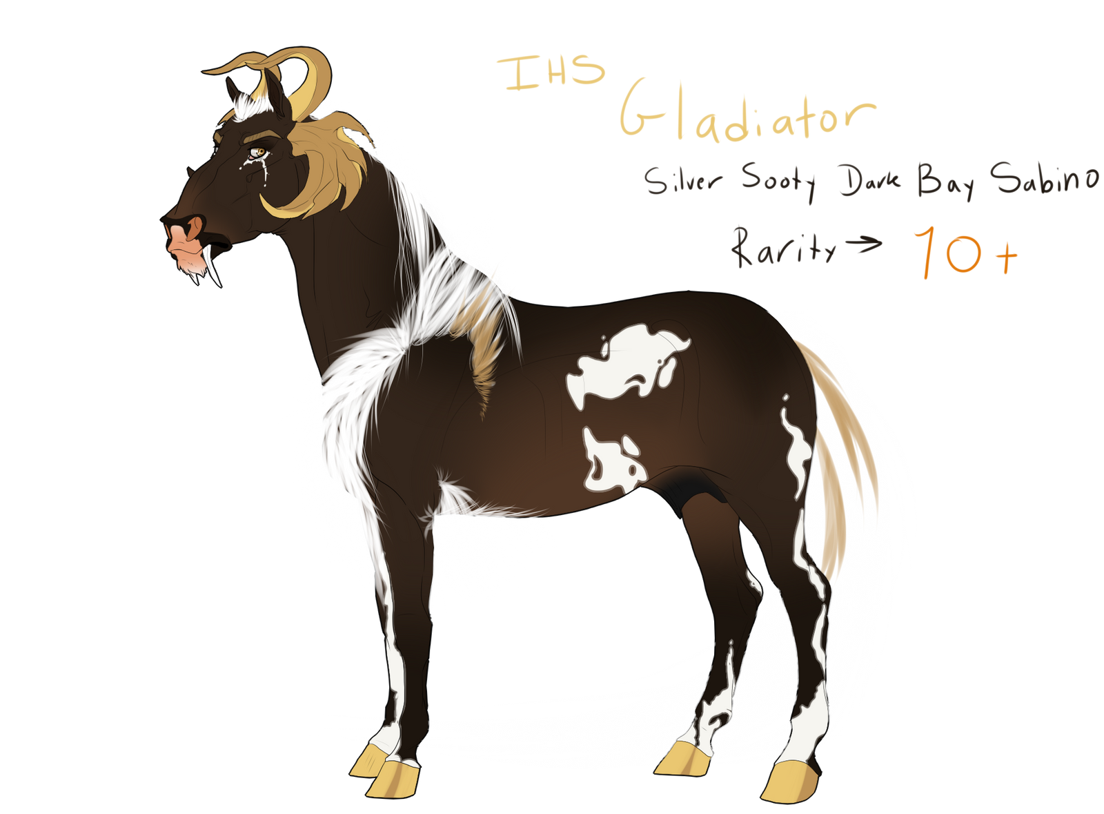 049 | IHS Gladiator