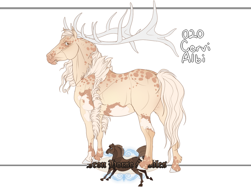 020 | IHS Cervi Albi