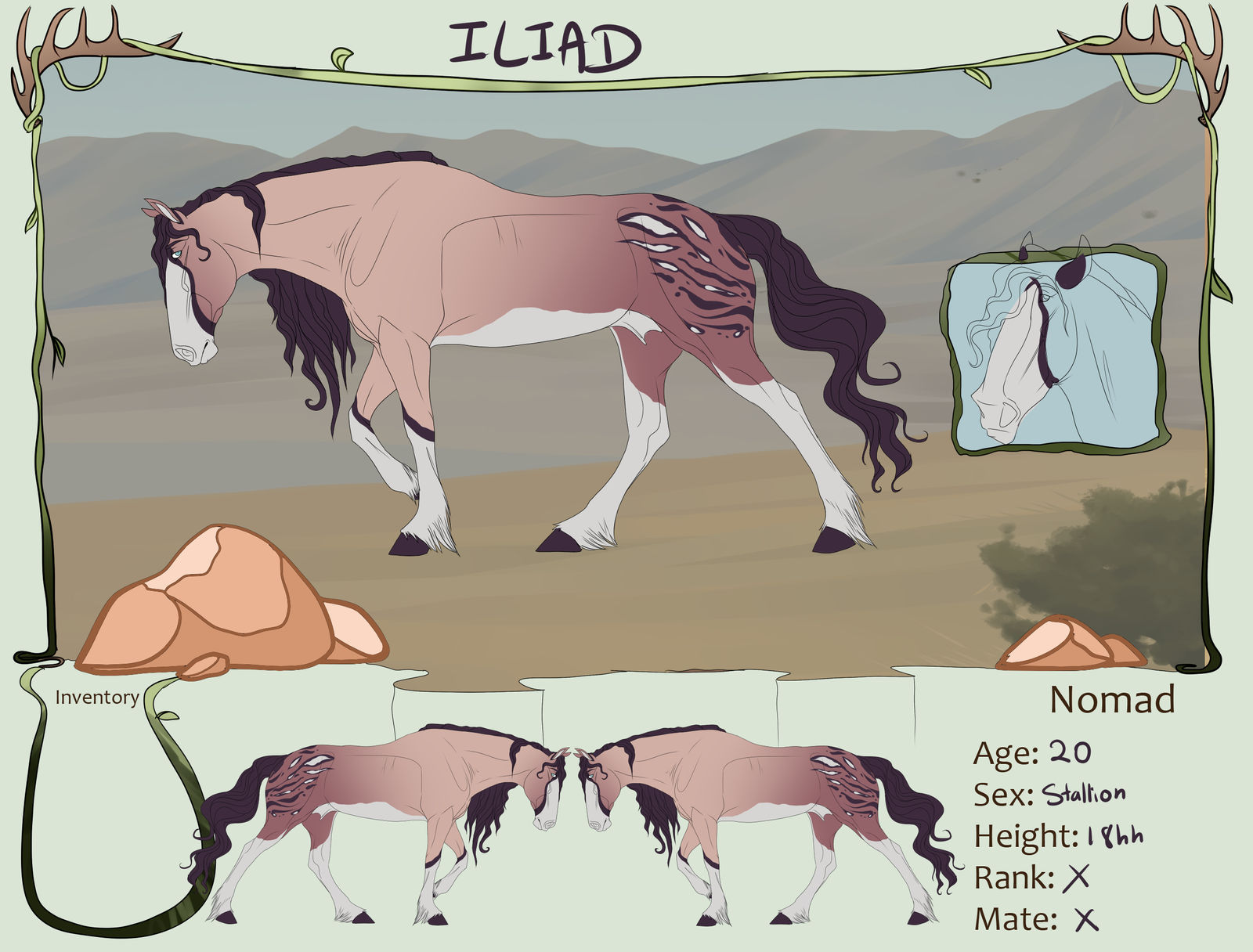 TWW | The Wanderer Iliad