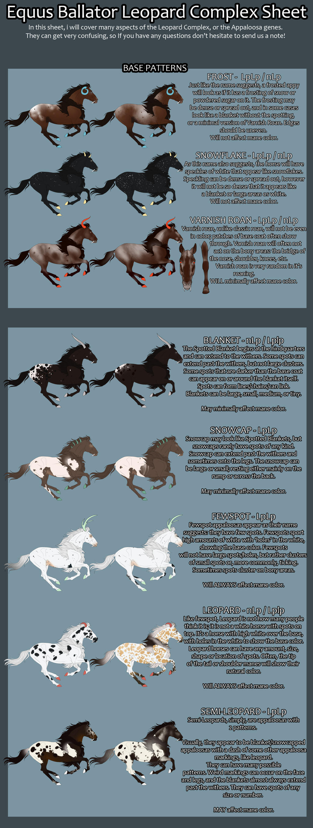 EB | Leopard Complex / Appaloosa Information Sheet by Fargonon on ...