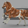 Sleipnir Muscle Structure