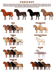 EquusBallator Visual Guide: Chestnut by Fargonon