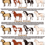 EquusBallator Visual Guide: White Patterns