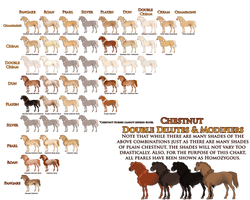 EB Visual Guide: Chestnut Double Dilutes/Modifiers