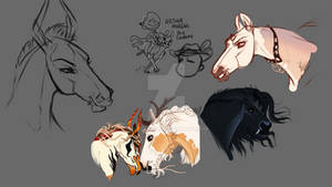 Sketches