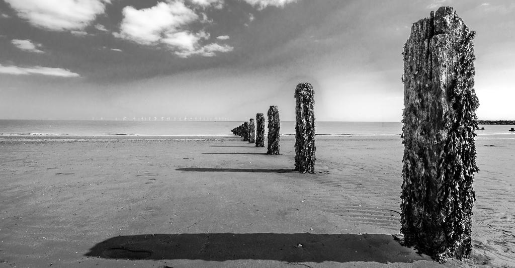 Poles on the beach