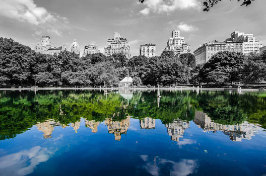Central Park Pond