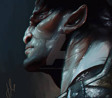 Qunari