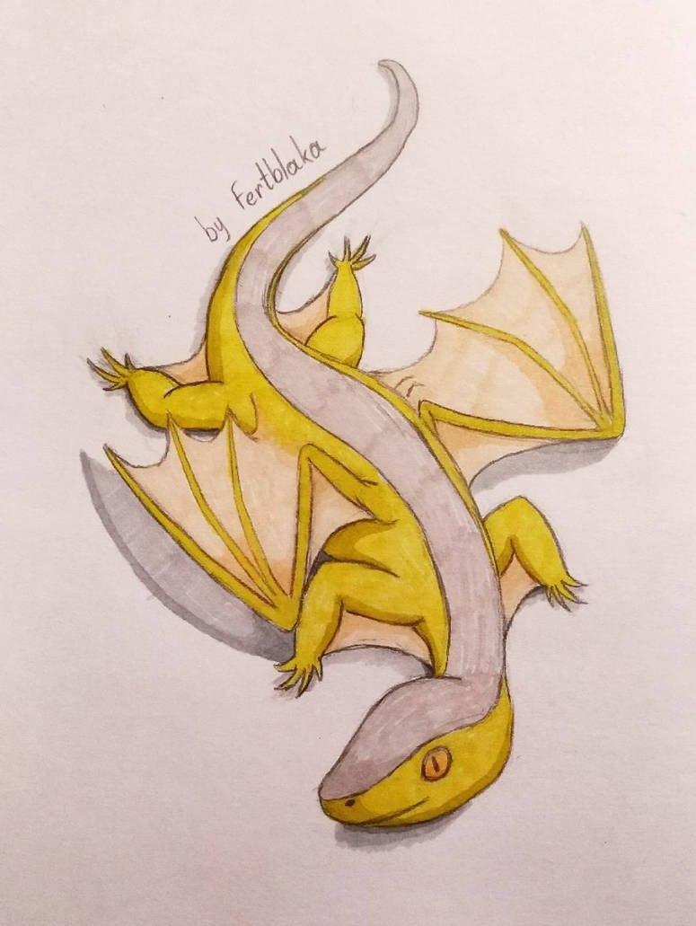 Mini-Dragon by Fertblaka on DeviantArt