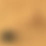 Nude In Perspective