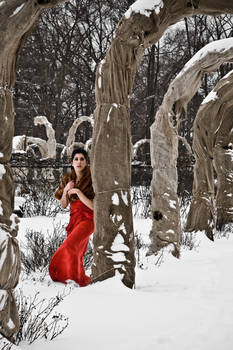 Woman in red dress in snowy rose garden