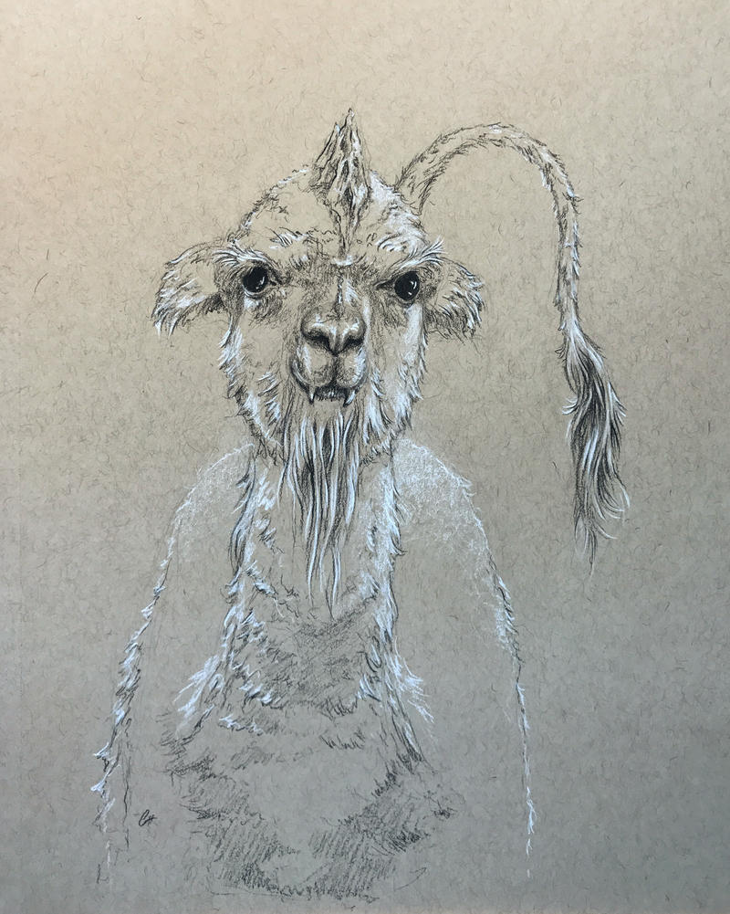 Saber-toothed Alpaca