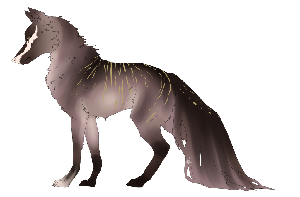 WOLF ADOPT