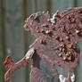 Rusted Angel