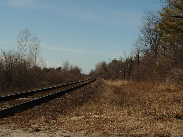 Tracks