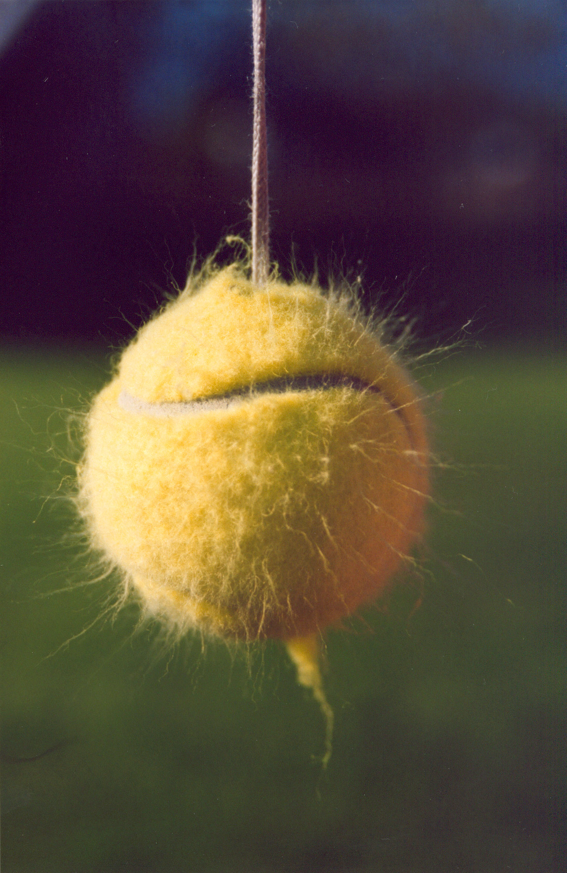 Fuzzy Static Tennisball 1