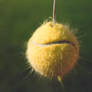 Fuzzy Static Tennisball 2