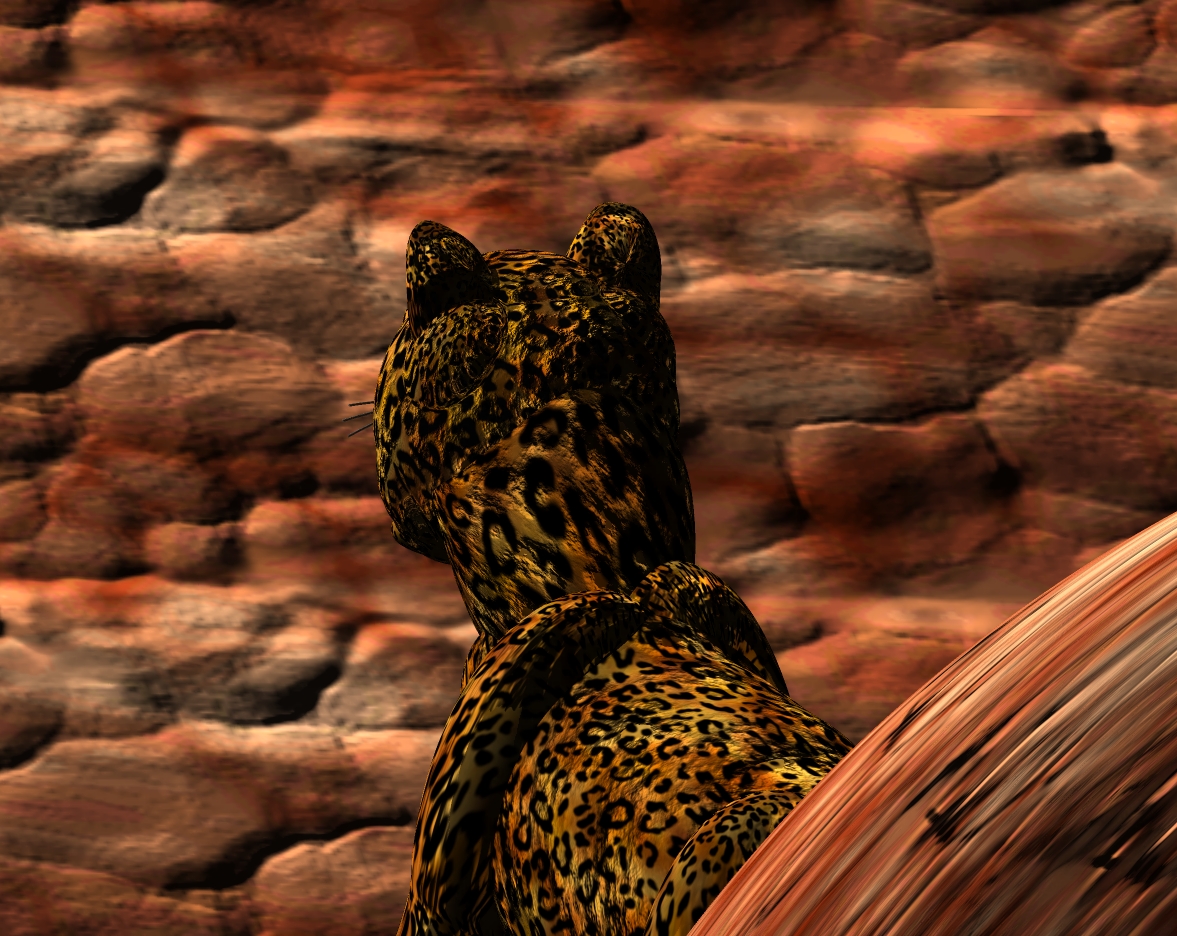 Leopard Pic 7