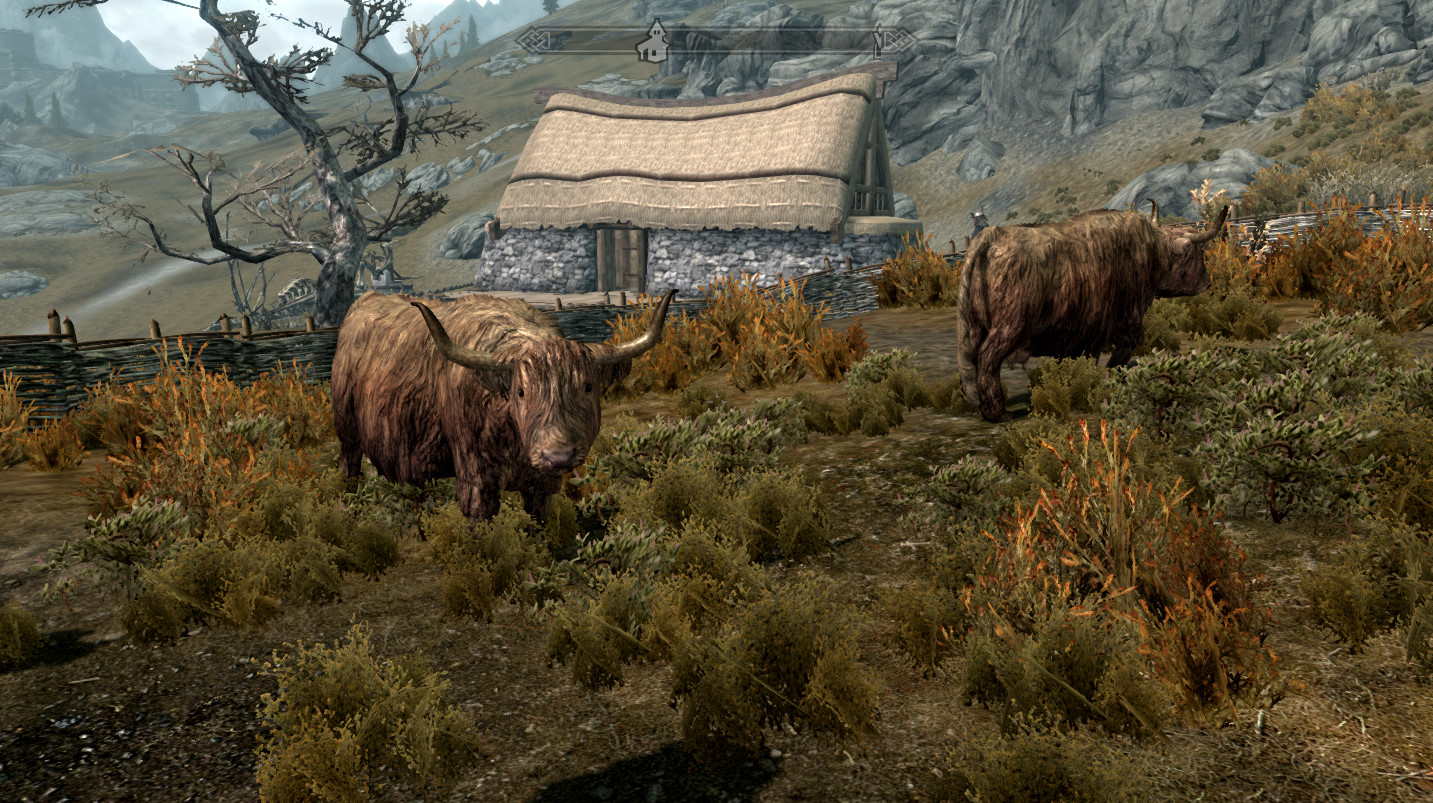 Skyrim Screenshot: Cows Go Moo