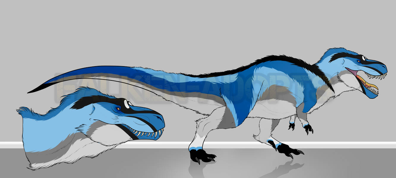 Floofi Rex Fluffy Rex - Sold by AncientForestAdopts on DeviantArt