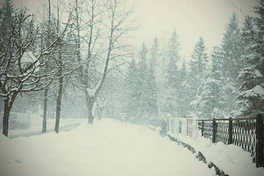 White winter 03