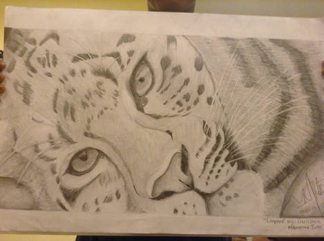 leopard (finished)