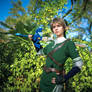 Link