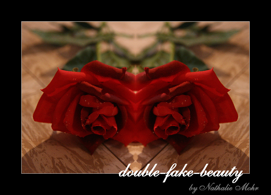 double-fake-beauty