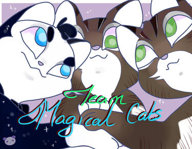 Team Magical Cats