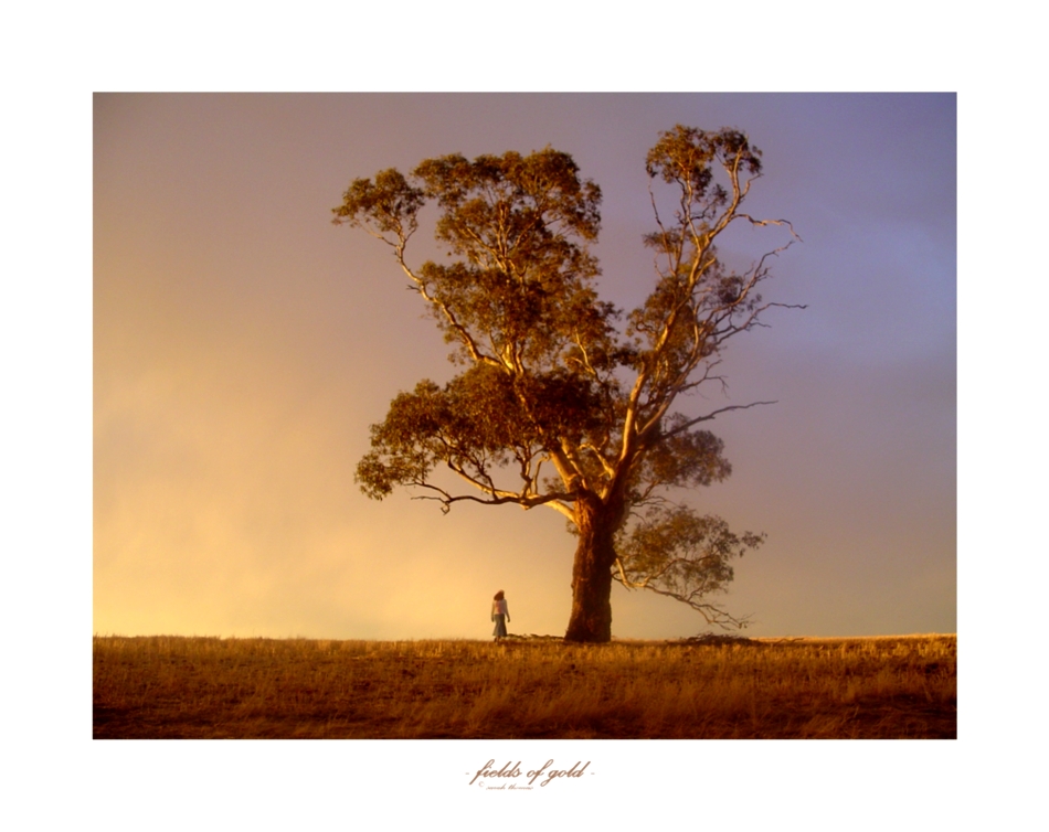 Fields of Gold