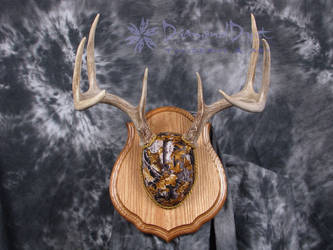 Antler Mount Golden Forest Camo