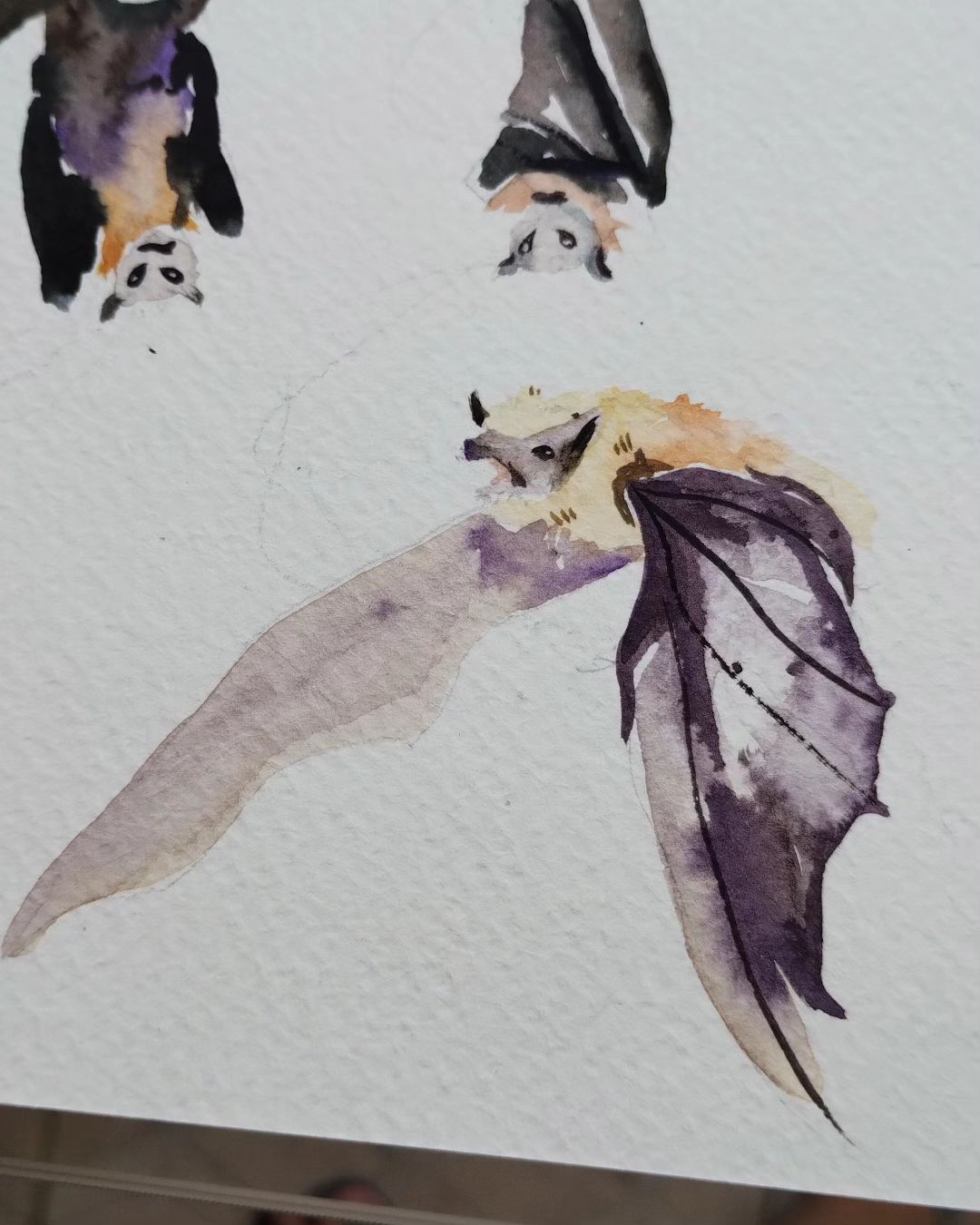 Colorful Bats Deviantart Sweet bat by Aquarelisma on DeviantArt