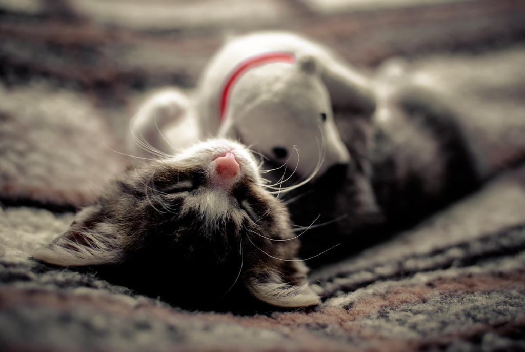 shh... by fauteku shh... by fauteku