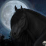 Lord of the Nigth