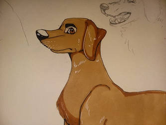 Hound Dog test drawing