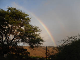 Double Rainbow