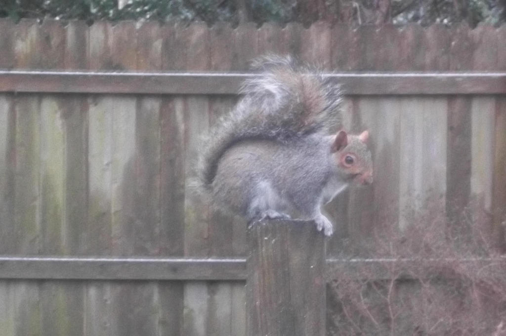 Sitting on the Post