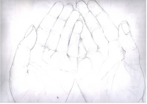 My Hands