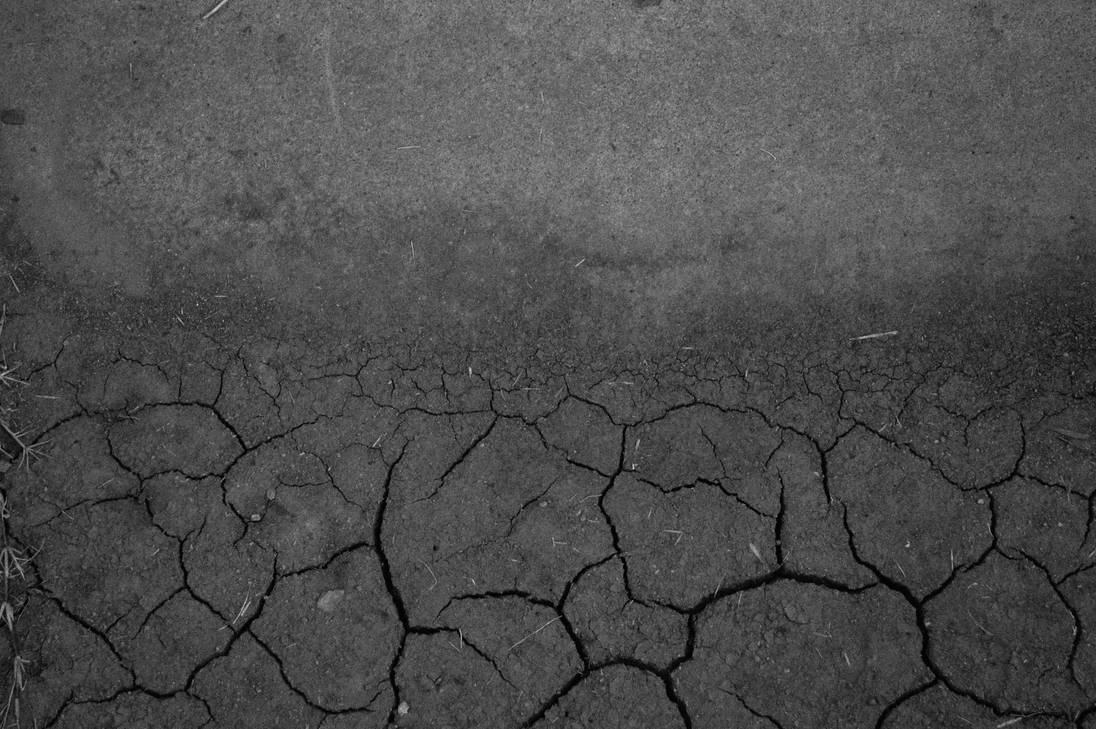 The Rot Sets In by DGScorpio on DeviantArt