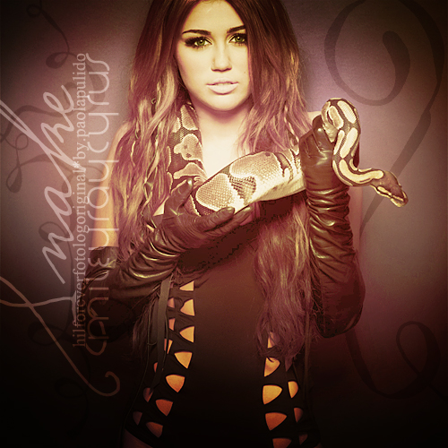 Snake - Miley Cyrus