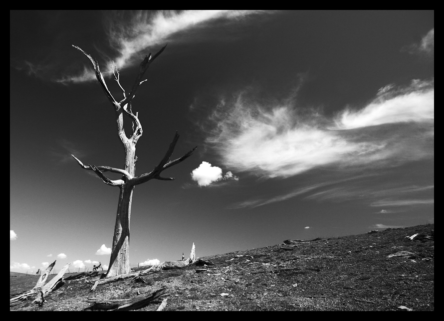 Conjuring with Clouds