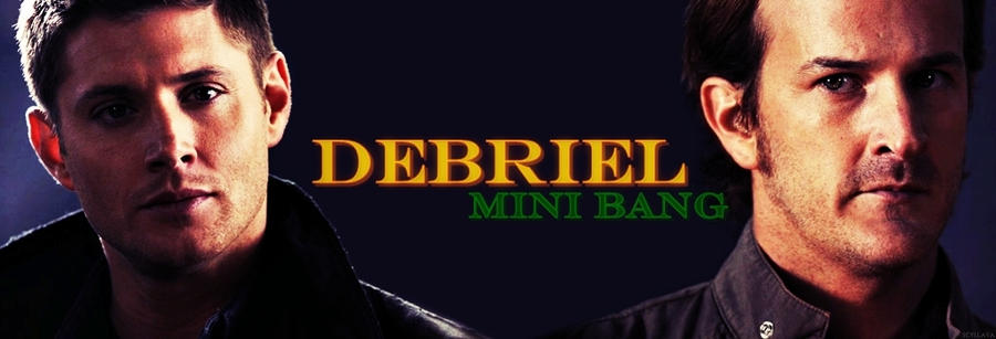 Debriel Mini 2012 Banner 02