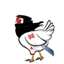 Ninja Chicken