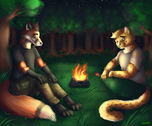 Night in the forest