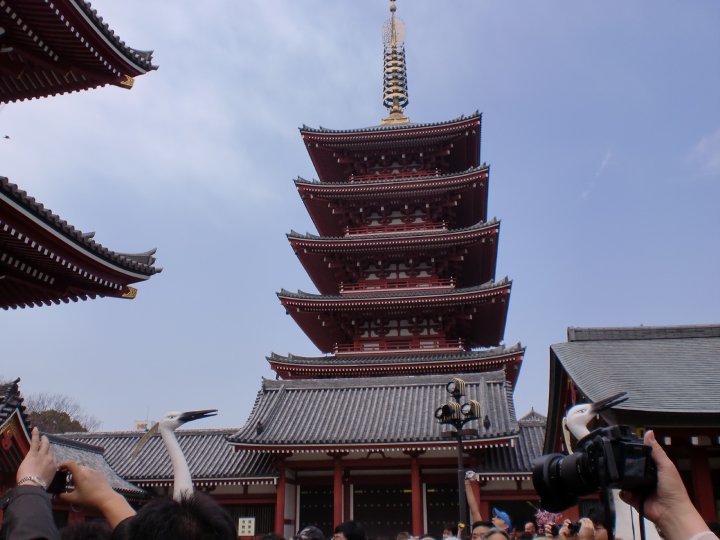 Asakusa Temple