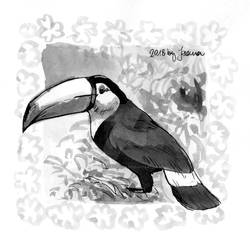 Toucan - Inktober2018 Day 22: Expensive