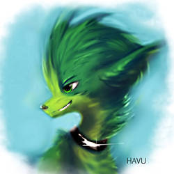 Havu ID #10