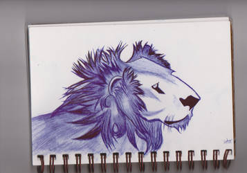 Lion- pen drawing