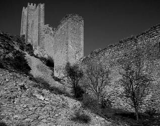 Medieval fortification