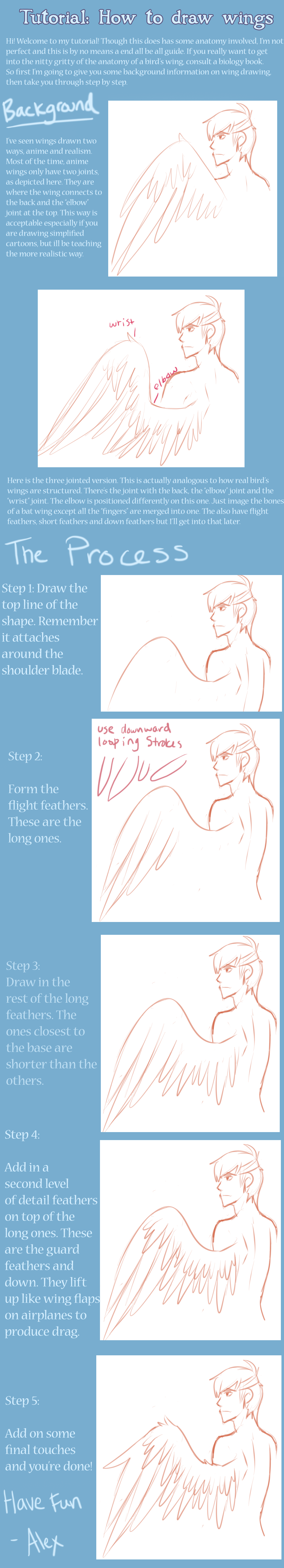 How to draw wings tutorial